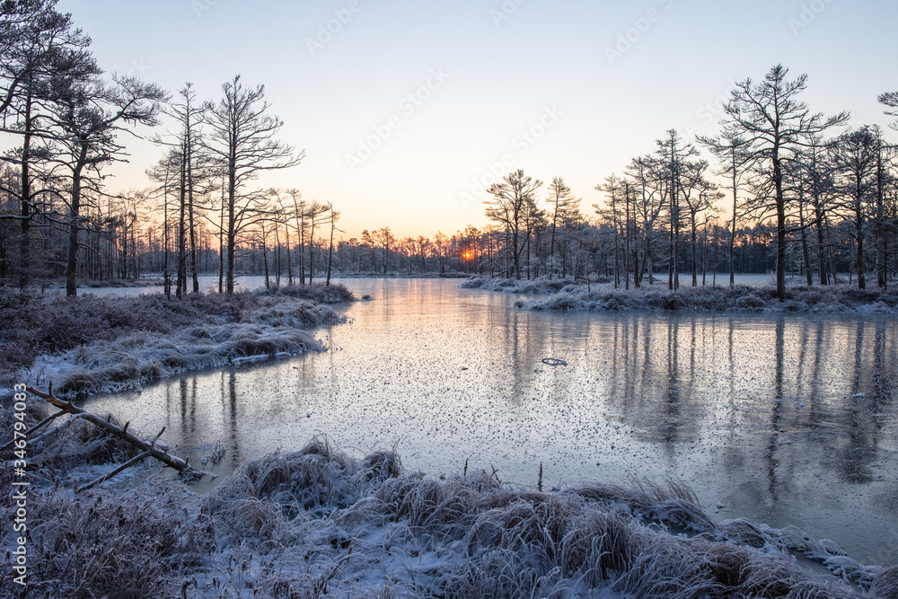 Frozen lake and frosted trees near the lake in Winter