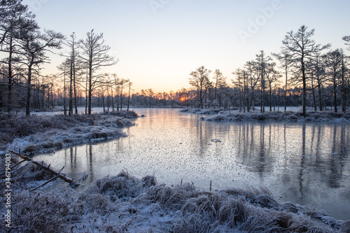 Frozen lake and frosted trees near the lake in Winter © Agris