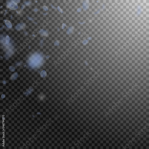 Light blue flower petals falling down. Shapely rom
