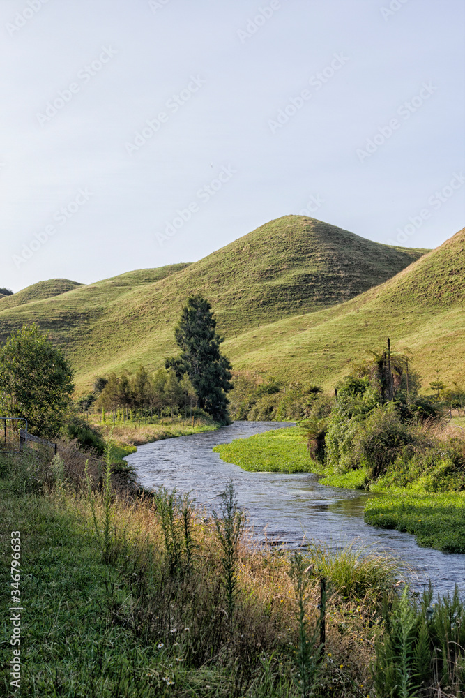 Lovely countryside with brook near Potaruru, New Zeland