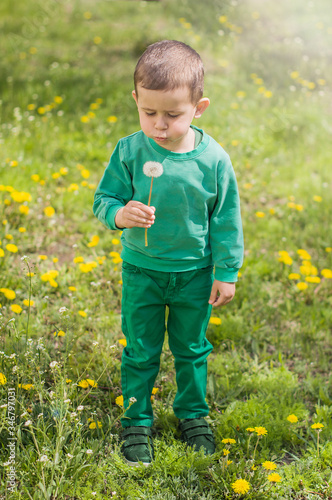 Little boy dressed in a green clothes blowing on a white fluffy dandelion