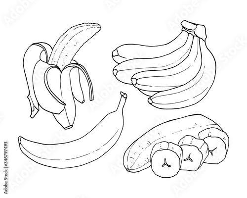 Vector set of outline of bananas. Ripe banana, one banana, peeled banana, bunch of bananas.
