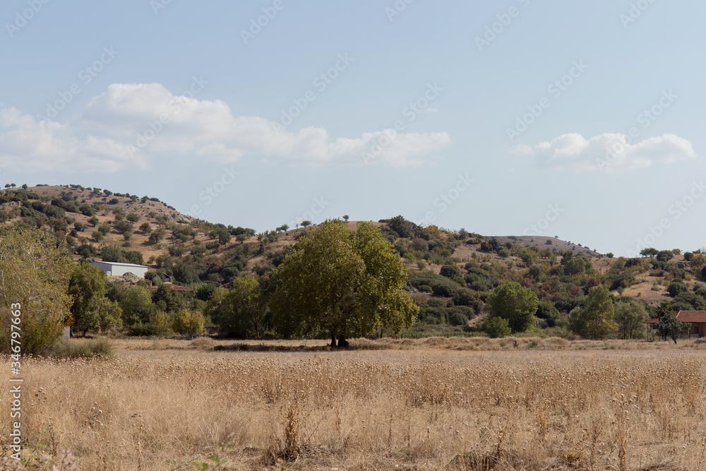 Landscape in the mountains