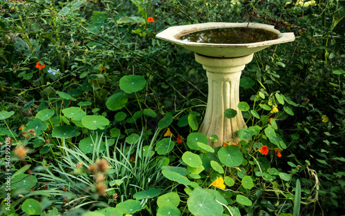 Photos A birdbath in the garden