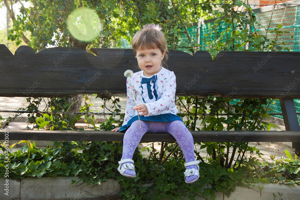 Summer fun, sweet little girl blowing dandelion.