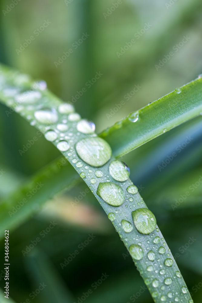 緑と水 環境とエコのイメージ 緑と水 環境とエコのイメージ