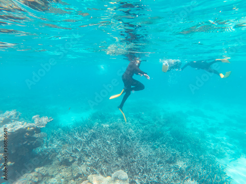 Tourist snorkeling underwater in clear blue turquoise sea. Coral underwater Great Barrier Reef. Colorful ecosystems in beautiful ocean. Holiday, vacation, travel, diving, tourism. Australia