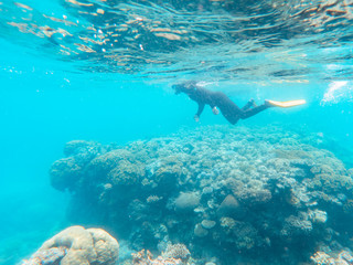 Keuken achterwand Turquoise Tourist snorkeling underwater in clear blue turquoise sea. Coral underwater Great Barrier Reef. Colorful ecosystems in beautiful ocean. Holiday, vacation, travel, diving, tourism. Australia  © Jam Travels