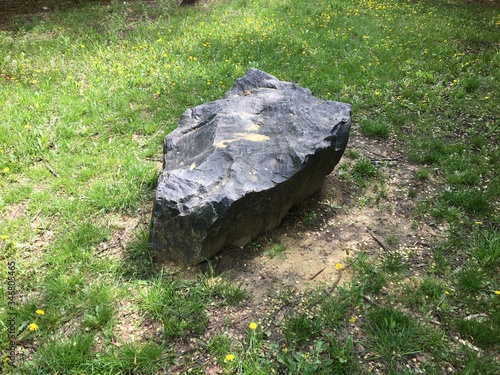 stone in the grass