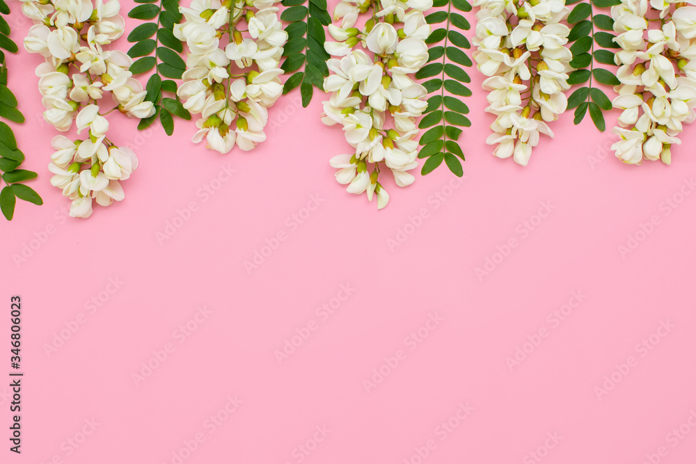 Creative layout with white flowers on a light pink background. Minimal idea of love of nature. The concept of spring flowers. Creative layout with white flowers on a light pink background. Minimal idea of love of nature. The concept of spring flowers.
