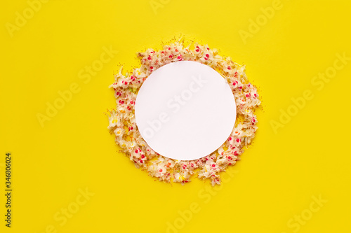 Creative layout with white flowers on an isolated yellow background. Minimal idea of love of nature. The concept of spring flowers.