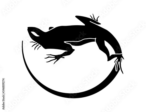 Silhouette of a lizard. Tattoo, logo, sign, vector illustration