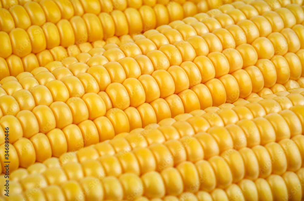 ripe corn texture ripe corn texture