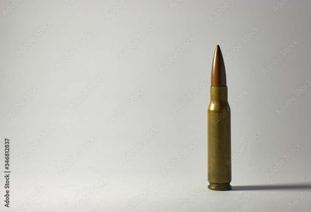 shotgun bullet on white background shotgun bullet on white background