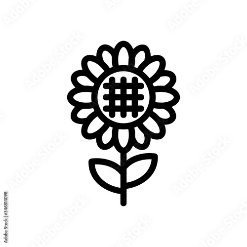 full length view of ripened sunflower icon vector. full length view of ripened sunflower sign. isolated contour symbol illustration