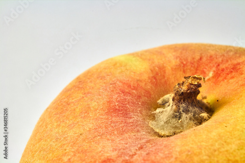 peach skin seen under a microscope