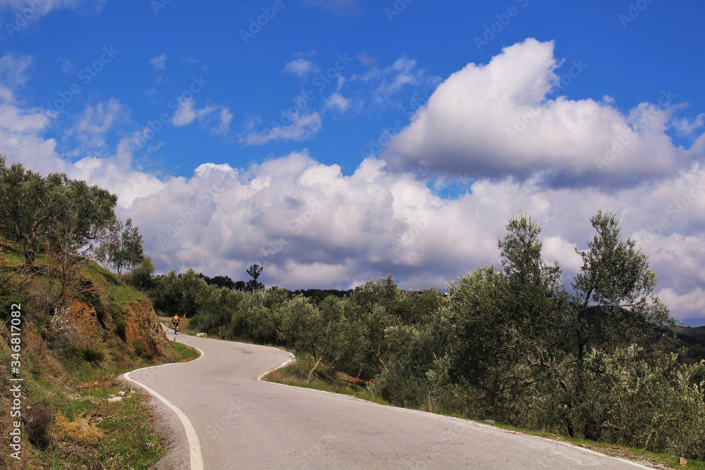 Asphalt road and trees around and cloudy blue sky. The road rises towards the mountain.
