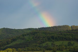 Rainbow formed due to precipitation on the forest.