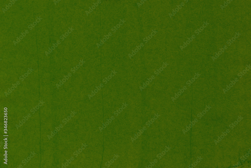 Fototapeta premium texture of green grass
