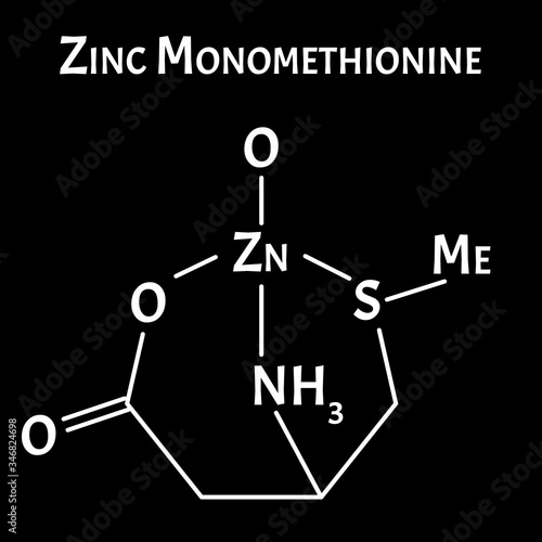 Zinc monomethionine is a molecular chemical formula. Zinc infographics. Vector illustration on isolated background. photo