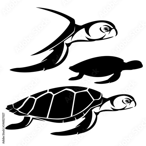 green sea turtle side view portrait - animal profile head and silhouette black and white vector design