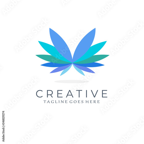 Colorful Wings Logo Vector Icon Template. Aircraft Wings Logo. Modern Creative Design 