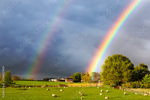 Beautiful double rainbow in sky over field of sheep with dramatic clouds
