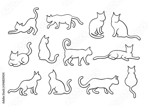 Cat illustration set, outline silhouette, line art. Collection of cats in different position, standing, walking, lying, sitting, with black outline, isolated on white background,
