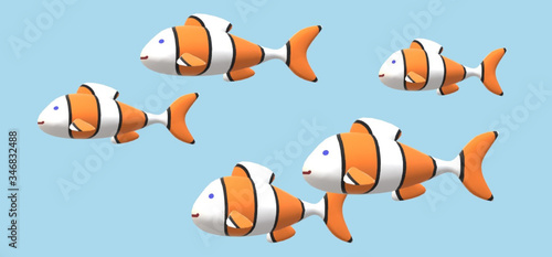 coloures fishes