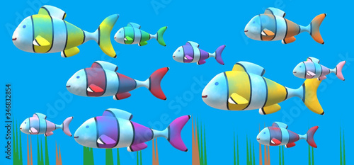 coloures fishes