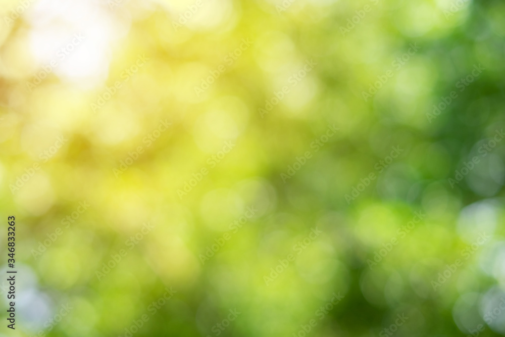 Green bokeh on nature abstract blur background green bokeh from tree Green bokeh on nature abstract blur background green bokeh from tree