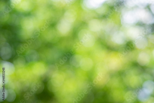 Green bokeh on nature abstract blur background green bokeh from tree