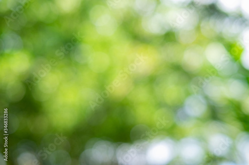 Green bokeh on nature abstract blur background green bokeh from tree