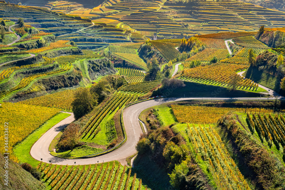 Country road through autumnal vineyards in Kaiserstuhl landscape