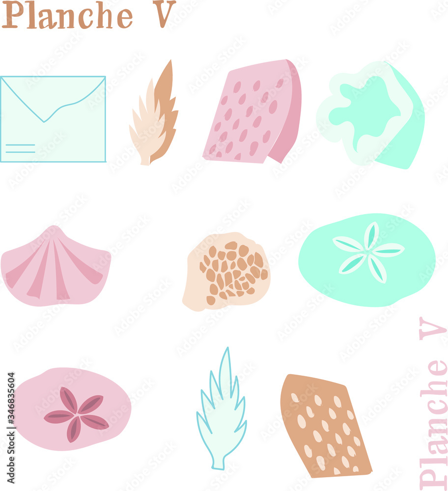 vector illustration 
marine plants
 and shapes