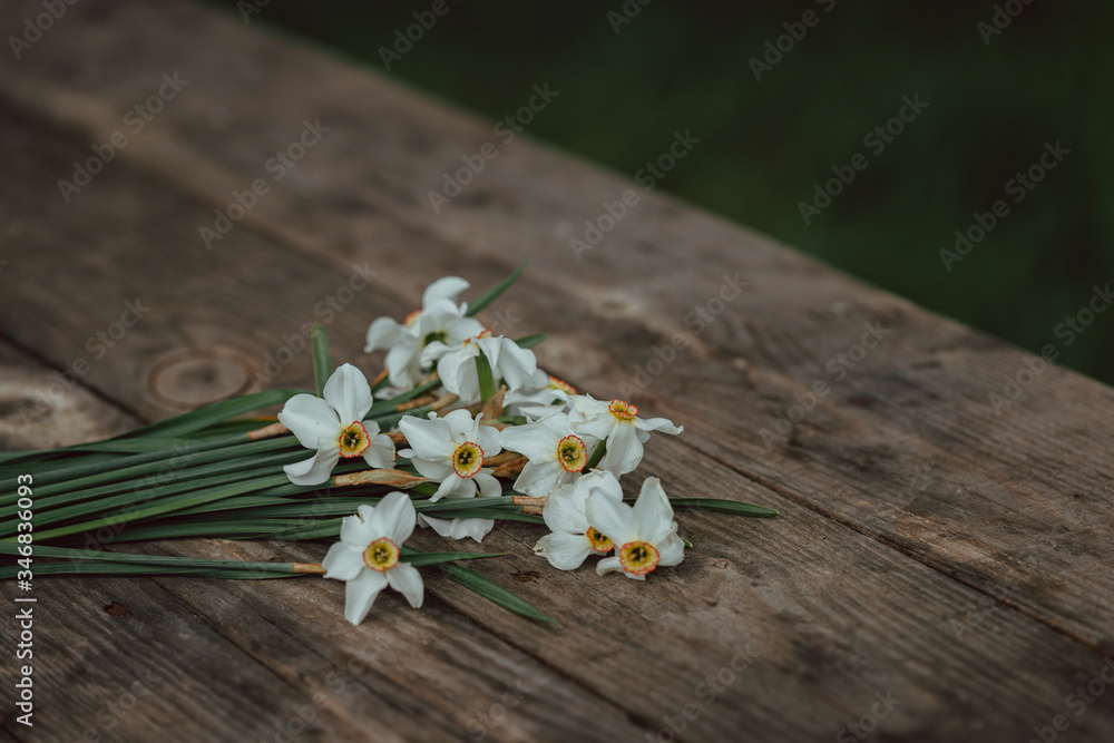 Bouquet of white narcissus Bouquet of white narcissus