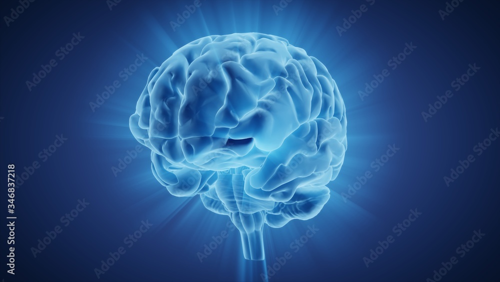 3d illustration human brain with convolutions and a radiance of light 3d illustration human brain with convolutions and a radiance of light