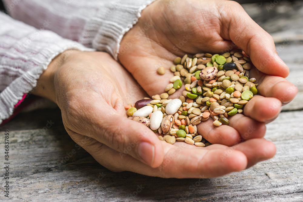 Close up shot of hands holding different kinds of legumes Close up shot of hands holding different kinds of legumes
