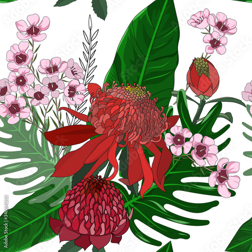 hand drawn australia native wild flower with waratah and geralton in vector seamless pattern