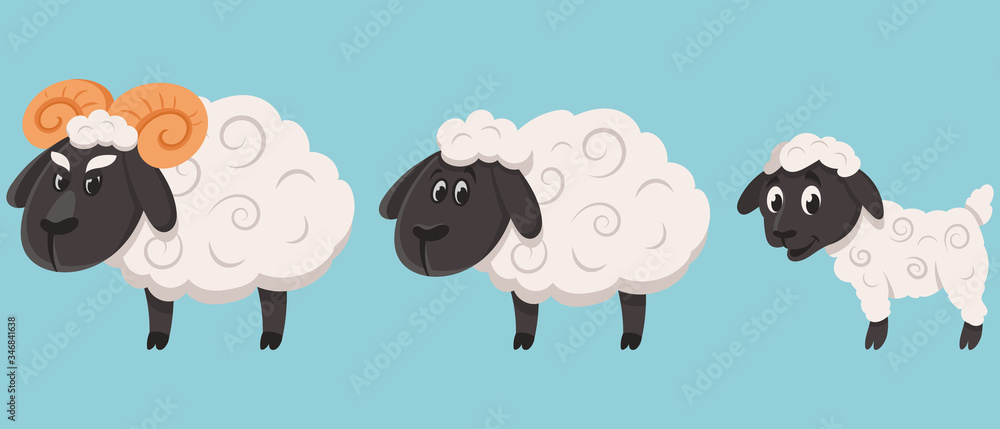 Sheep family in cartoon style. Farm animals of different sex and age. Sheep family in cartoon style. Farm animals of different sex and age.