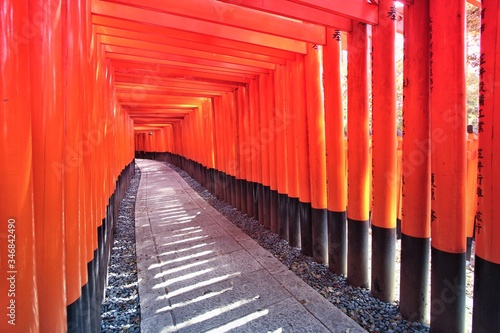 Japan - Fushimi Inari. Filtered image style.