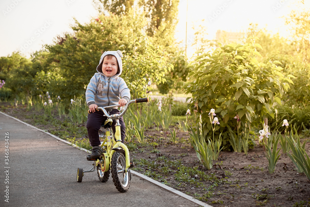 Joyful day off of a little boy in the park on a bicycle. Alley at sunset.