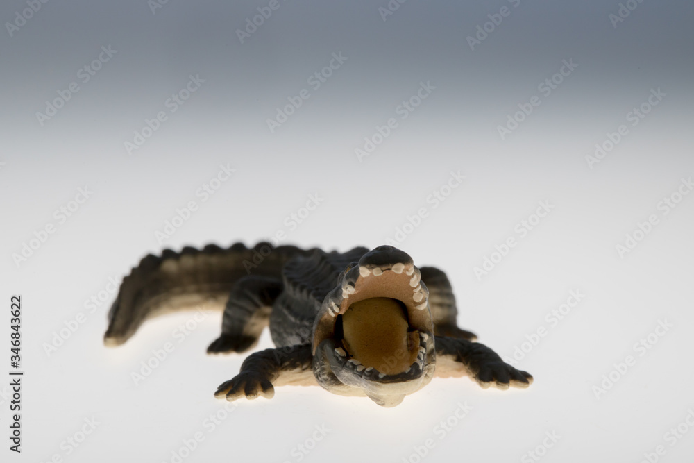 Obraz premium 可愛いワニのフィギュア模型