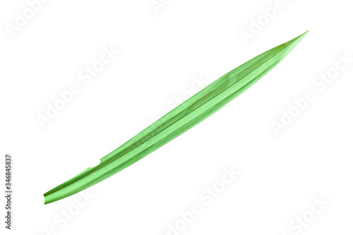 Fresh pandan leaf isolated on white background. Object with clipping path.