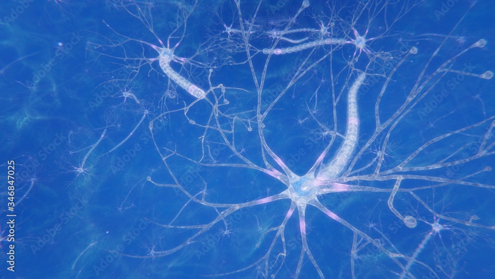 3d illustration brain neurons with synapses and axons