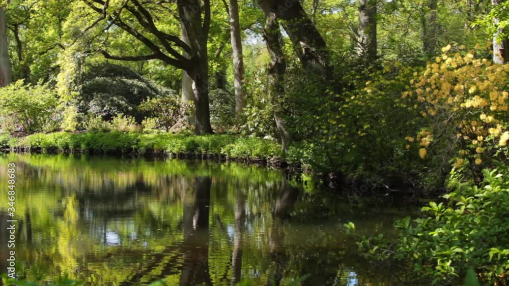 Spring landscape with pond and Rhododendron flowers. Spring landscape with pond and Rhododendron flowers.