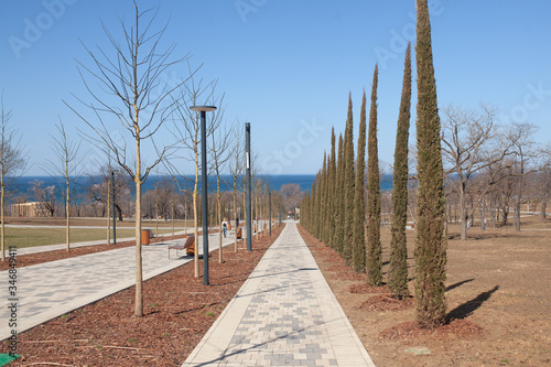 Alley in a spring park near the sea