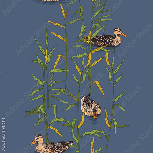   . Wild ducks among the canes. Hand drawn colored .seamless pattern. Vector vintage illustration..