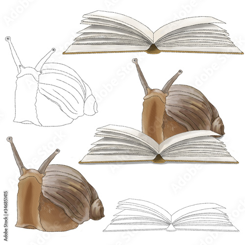 Snail reading a book watercolor painting