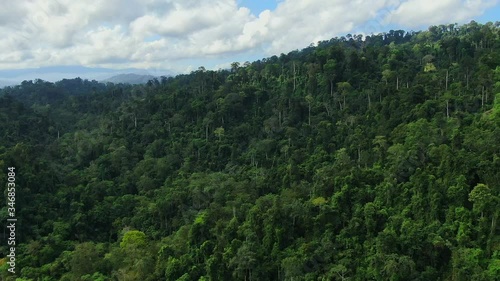 Wallpaper Mural Long shot of Aerial view of Asia rainforest. Flight over the jungle by Drone. Day time with clouds and blue sky. Torontodigital.ca